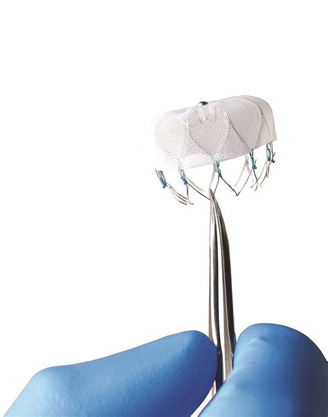 Image result for Video Watchman Device.com