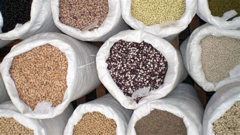 Комбинирани фуражи - видове | Agri.BG