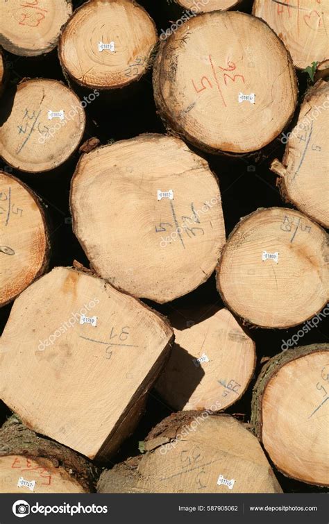 Image result for Log Labeled