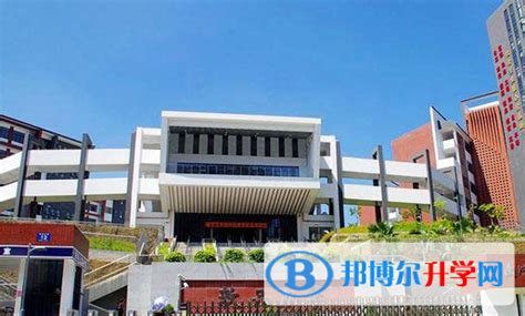 南宁三中国际学校2023年招生计划