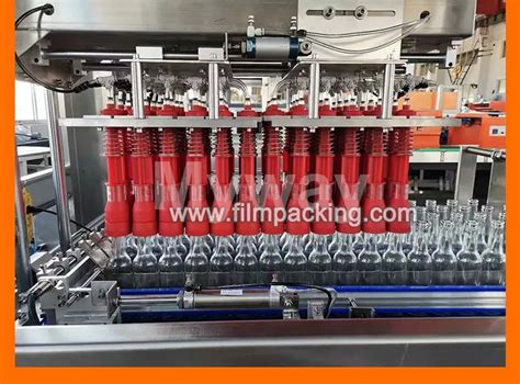 Rezultat imagine pentru Case Packer Types