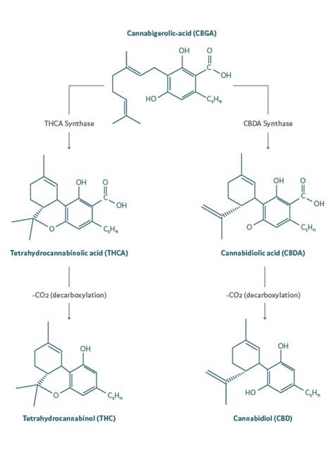 Image result for THC Molecular Compound