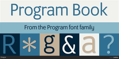 Image result for Font Program