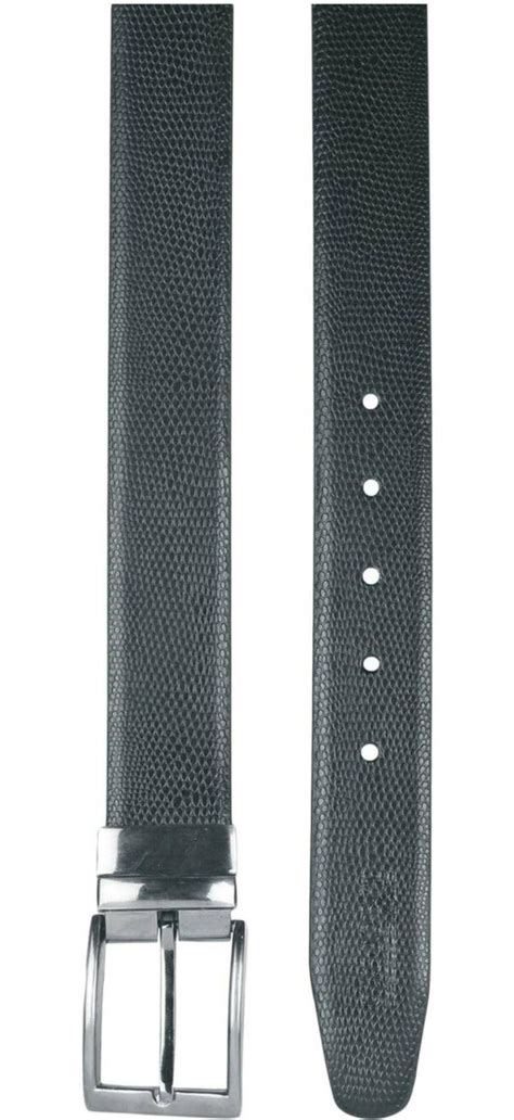 Belt 的图像结果