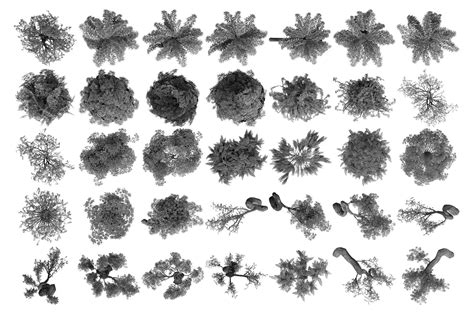 ArtStation - Tree Brushes - Willow Edition(Front, Top, Isometric) | Brushes