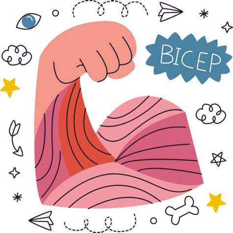 Bicep Stickers - Free healthcare and medical Stickers