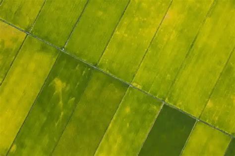 Image result for Different Types Linear Programming