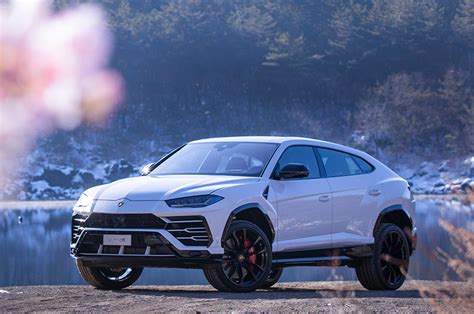 Lambo Urus