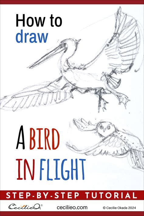 Image result for Drawing Birds Tutorial