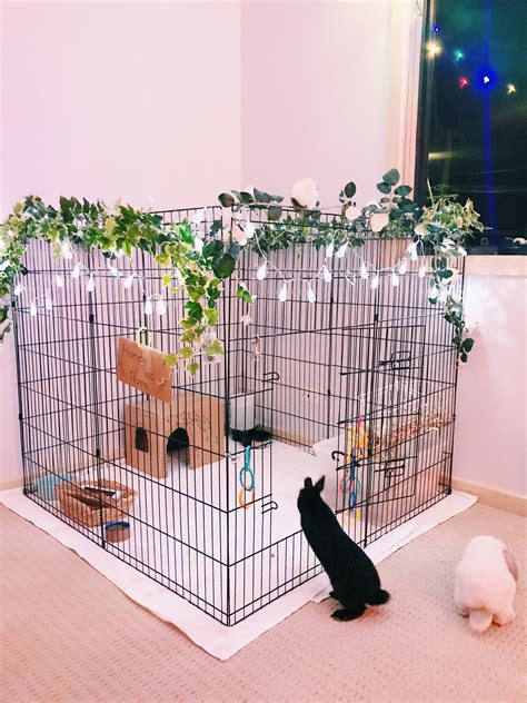 Cool Rabbit Cages