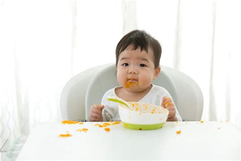 Baby Food Stages