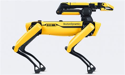 Robotics Top Robot 的图像结果