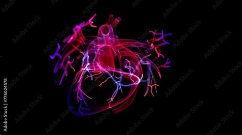 Image result for Full Animation On Heart Function