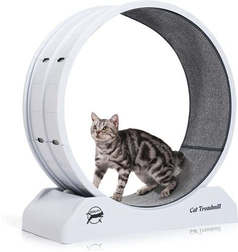 Amazon.com : RemixOri Cat Exercise Wheel for Indoor Cats, 35.8" Cat ...