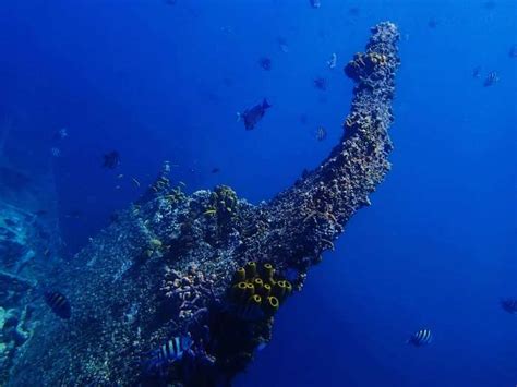 Best Shipwreck Diving Sites In The World | TravelTriangle