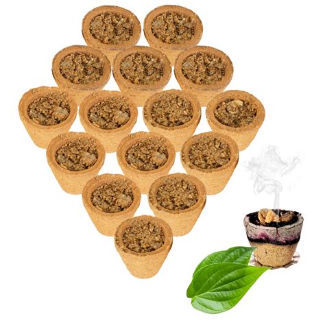 Satguru Organic Cow Dung Panchgavya Dhuni Havan Cup & Sambrani Dhoop ...