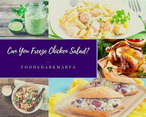 Can You Freeze Chicken Salad? - Food Shark Marfa