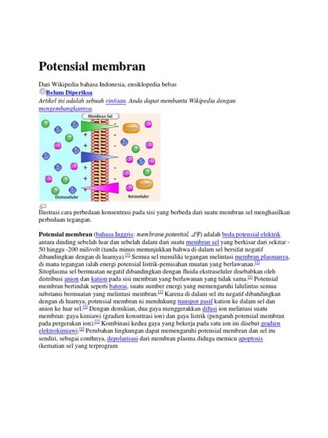 Image result for Ccpp Projects