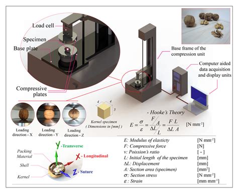 Compression Leak Test Setup 的图像结果