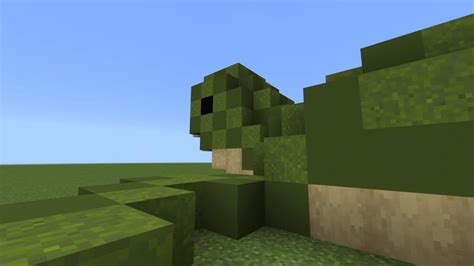 Image result for MinecraftTurtle Build