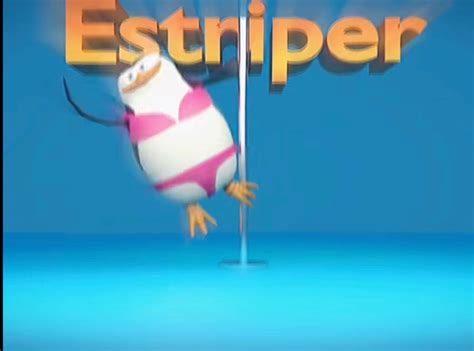 estriper — los pingüinos me la van a mascar | Latest funny videos ...