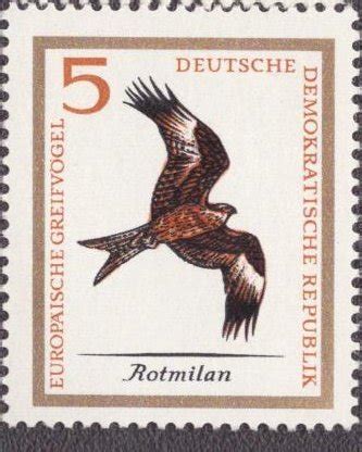 Image result for DDR Extreme Memory Card