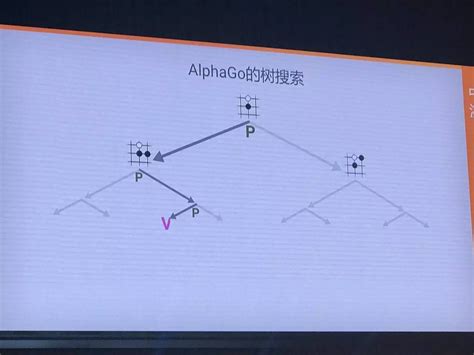 Alphago Algorithm 的图像结果
