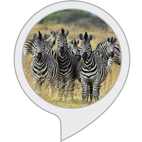 Amazon.in: Zebra Facts : Alexa Skills