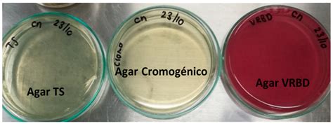 Development of a SYBR Green qPCR Intralaboratory Validation for the ...