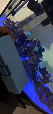 Buy AUTOUTLET Salinity Refractometer Saltwater Aquarium for Seawater ...