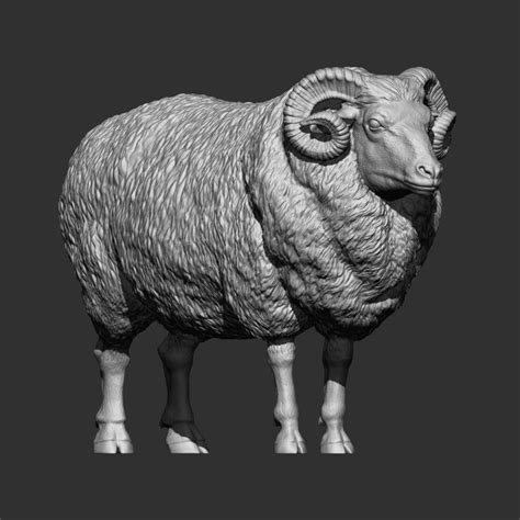 Image result for Ram 3D Tutorial