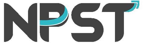 Network People Services Technologies Ltd.