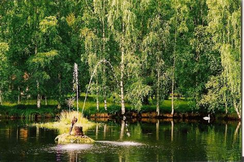 THE BEST Heinävesi Nature & Wildlife Areas (2026) - with Reviews