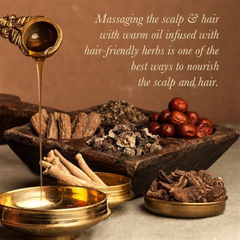 How To Apply Oil To Hair? - Your Guide To Hair Oiling - Kama Ayurveda
