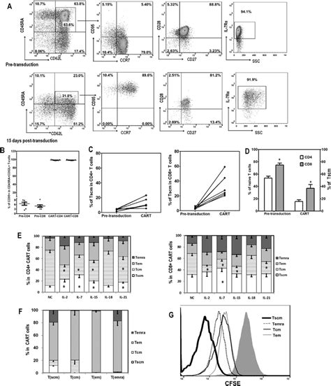Mouse Cart Cell Image 的图像结果