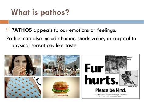 Introduction to Rhetoric in Advertising Ethos Pathos Logos.ppt