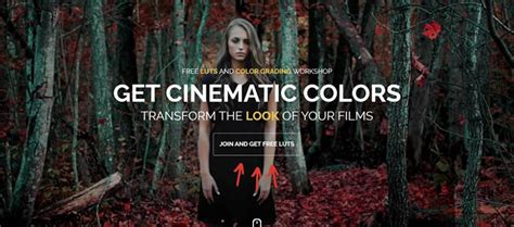 How To Achieve LumaFusion Color Grading Through LUTs
