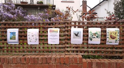 Newsletter #23 to #39 - Lynn Bailey Printmaker