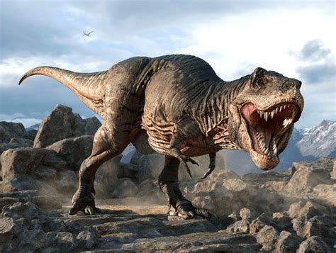 Image result for Dinosaur Using Computer Picture