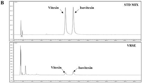 H2O2 HT22 的图像结果