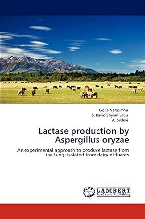 Buy Lactase production by Aspergillus oryzae Book Online at Low Prices ...