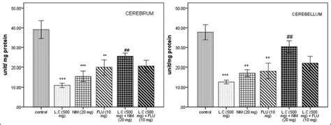Biochemical and ultrastructural alterations in the brain of mice ...