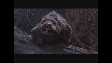 Image result for Princess Bride Rodents