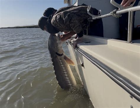 GATECRASHER FISHING ADVENTURES (2025) All You Need to Know BEFORE You ...