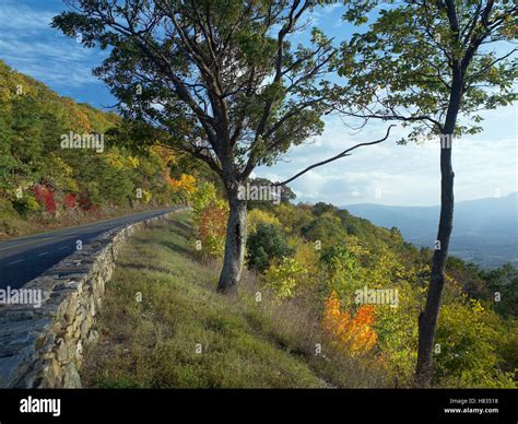 Skyline Drive, Shenandoah National Park, Virginia Stock Photo - Alamy