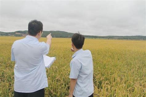 【吉林日报·彩练新闻】连续4年实现“吨粮田”，保护性耕作“梨树模式”显成效--中国科学院东北地理与农业生态研究所