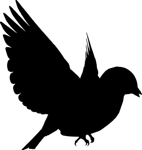 Free photo: Bird silhouette - Bird, Contour, Object - Free Download - Jooinn