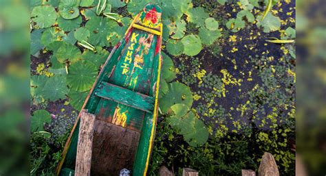 IRCTC comes up with 8-day Jammu-Kashmir tour starting at INR 17535 ...