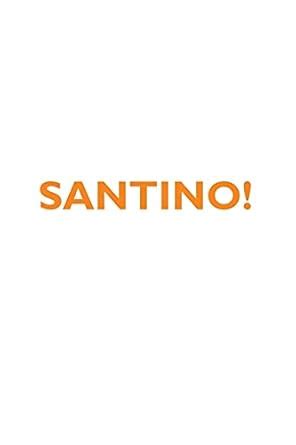 Buy SANTINO! Affirmations Notebook & Diary Positive Affirmations ...