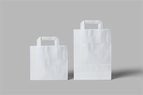 Free 2 Sizes Paper Bag Mockup (PSD)